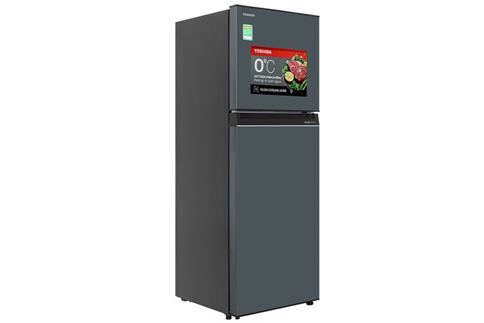 Tủ Lạnh Toshiba Inverter 233 Lít GR-RT303WE-PMV(52)
